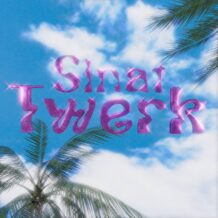 آهنگ جدید سینات به نام توئرک